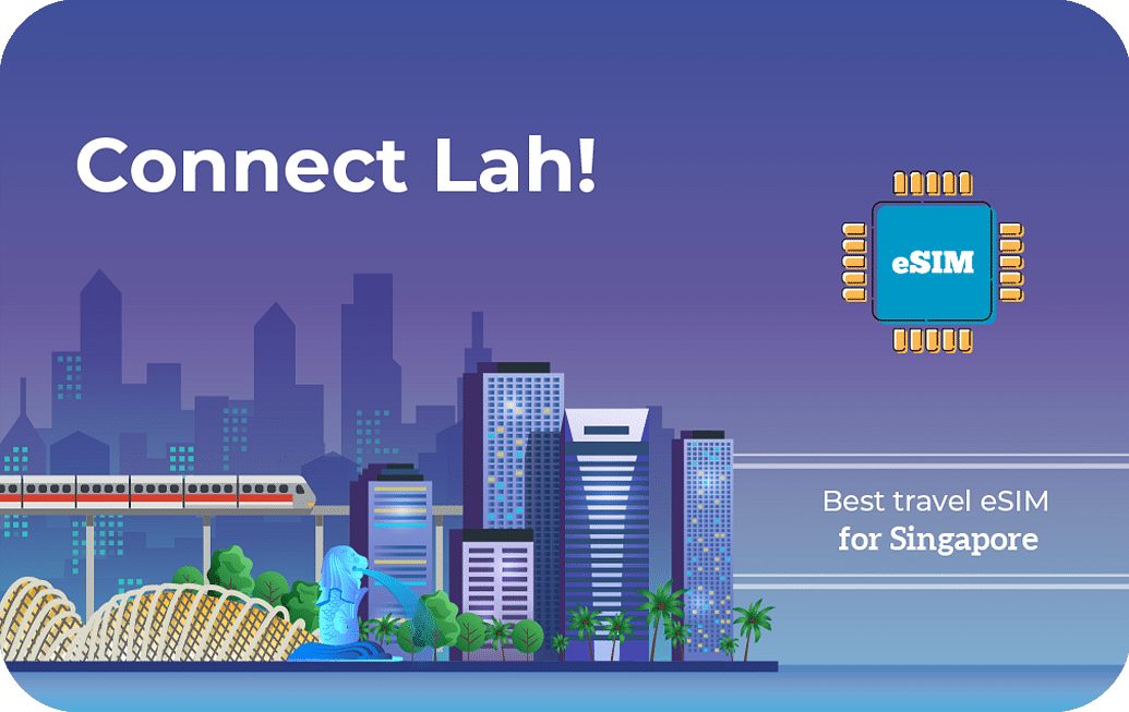 connect-lah-30days-20gbx