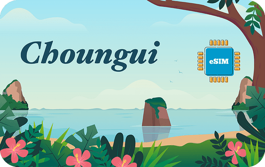 choungui-30days-20gb