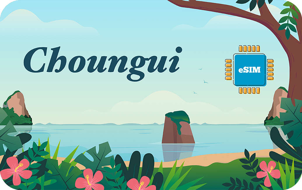 choungui-30days-10gb