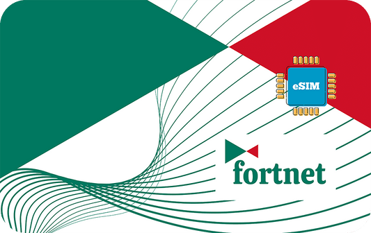 fortnet-7days-1gb