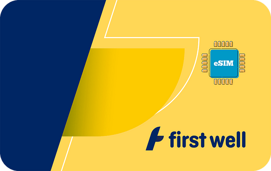 first-well-30days-3gb