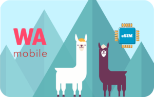 Bolivia eSIM - 3GB - 30 days