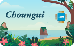 Mayotte eSIM - Unlimited - 10 days